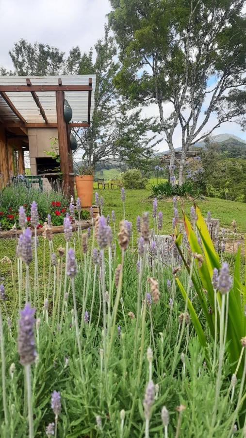 Sitio Recanto Da Guarda - Cabana Araucaria Бон-Ретіру Екстер'єр фото